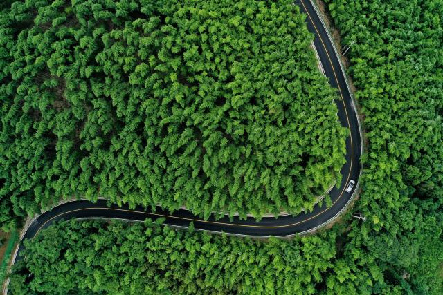 解锁川东度假新方式:藏于竹乡烟火处,宿见心安-大竹秋田智慧民宿酒店(图1) f663ec1fe7.jpg