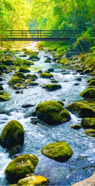 四川宣汉:揽巴山胜境 寻巴韵乡愁 赴一场治愈春日之约(图2) 2.jpg