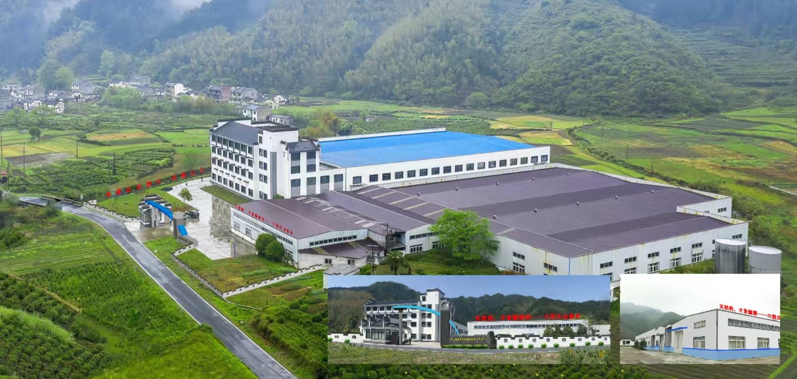 在三江源头遇见童话里的乡村——右龙 溯源新安江水 寻根徽派古村魂(图4) 微信图片_20260328114809.jpg