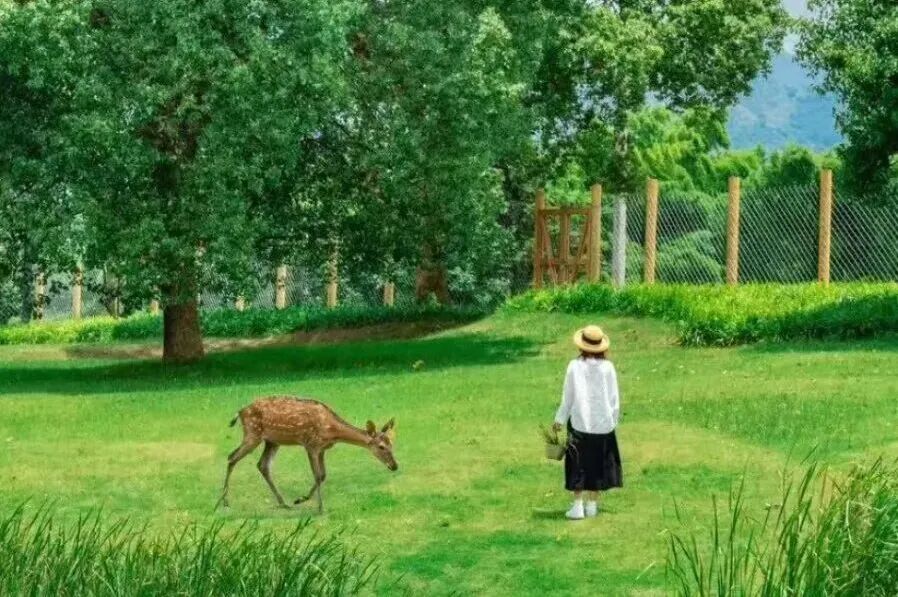 四川广安:跟着小编打卡广安春日山水人文(图10) 四川广安:跟着小编打卡广安春日山水人文(图10)