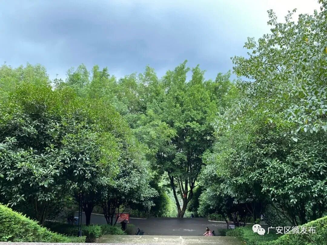 四川广安:跟着小编打卡广安春日山水人文(图3) 四川广安:跟着小编打卡广安春日山水人文(图3)