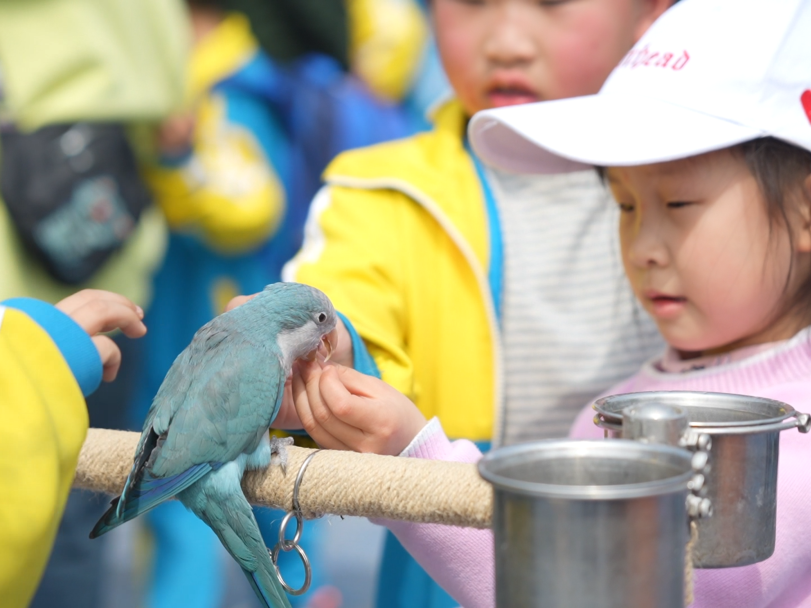 四川达州:春假研学达川|赴一场人文、自然与红色的成长之约,7大宝藏点位全攻略(图7) 四川达州:春假研学达川|赴一场人文、自然与红色的成长之约,7大宝藏点位全攻略(图7)