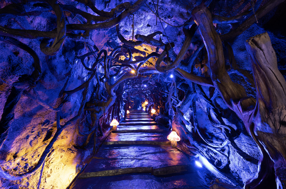 四川达州宣汉县:春游巴山大峡谷|住进风景里,吃出土家味(图2) 11.png