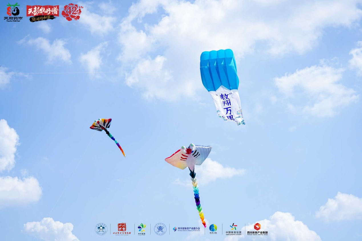 筝飞春日彭州 采新道地川芎 ——中国体育彩票杯2026“体育之光”非遗文化季暨全国乡村旅游风筝邀请赛、全国青少年风筝制作赛（彭州站）圆满落幕(图1)