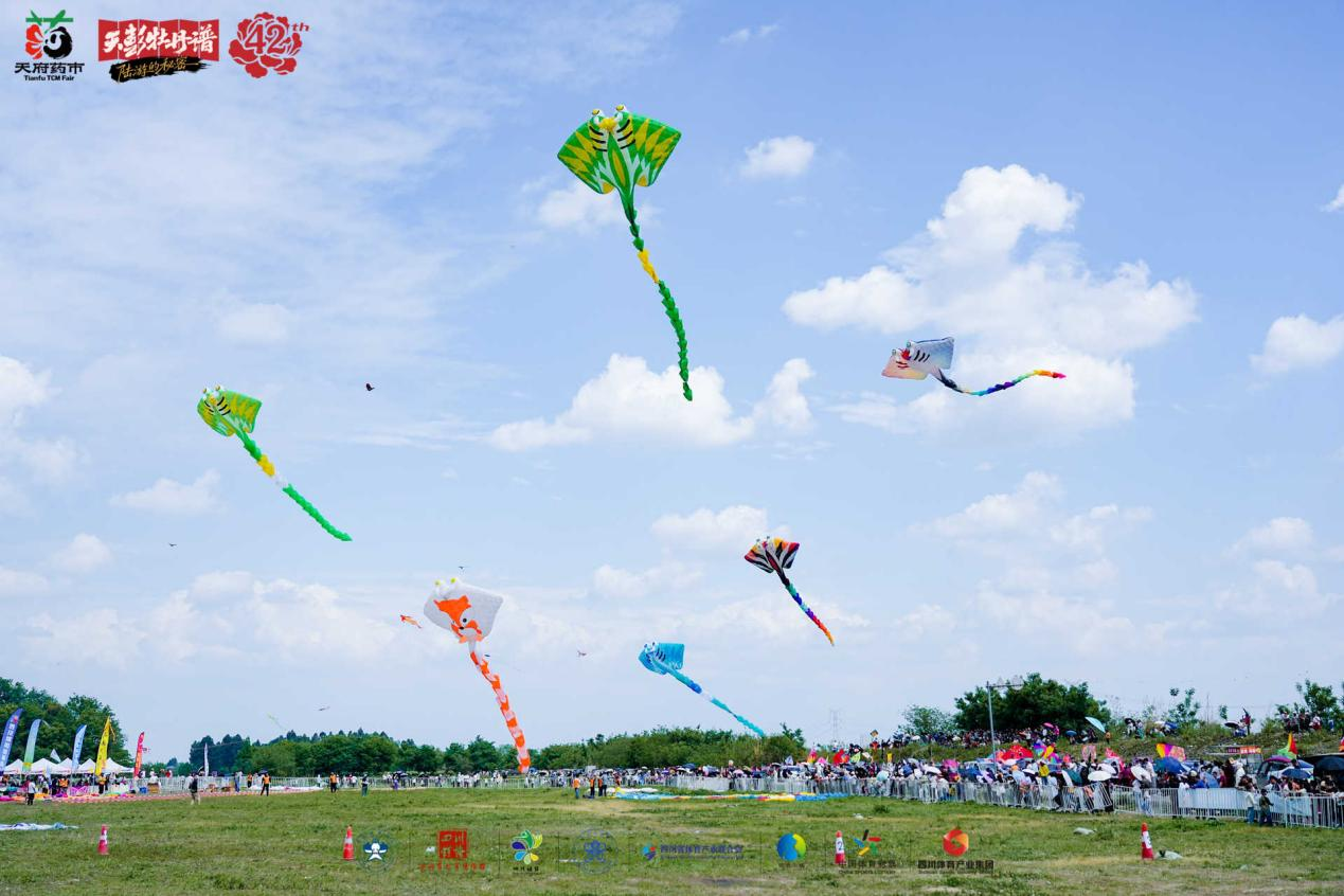 筝飞春日彭州 采新道地川芎 ——中国体育彩票杯2026“体育之光”非遗文化季暨全国乡村旅游风筝邀请赛、全国青少年风筝制作赛（彭州站）圆满落幕(图3)