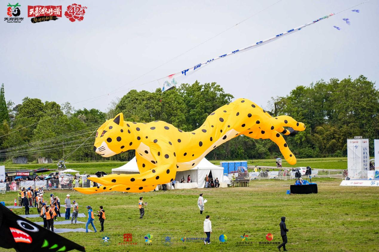 筝飞春日彭州 采新道地川芎 ——中国体育彩票杯2026“体育之光”非遗文化季暨全国乡村旅游风筝邀请赛、全国青少年风筝制作赛（彭州站）圆满落幕(图6)