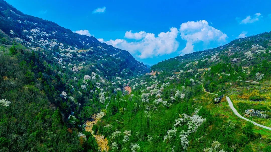 春假去哪儿?当然是来四川宣汉解锁亲子踏青新方式(图1) 春假去哪儿?当然是来四川宣汉解锁亲子踏青新方式(图1)