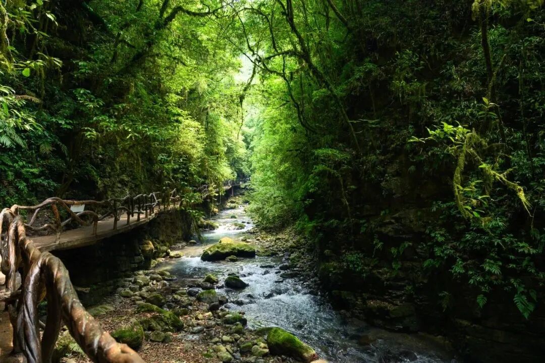 春假去哪儿?当然是来四川宣汉解锁亲子踏青新方式(图2) 春假去哪儿?当然是来四川宣汉解锁亲子踏青新方式(图2)