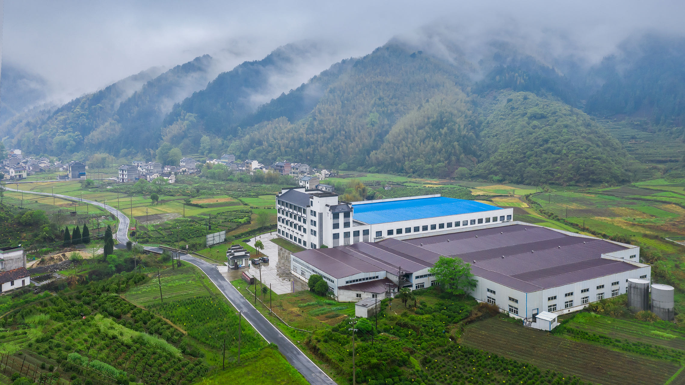 栖于新安源头 隐于大山深处 ——参观考察黄山新安源六股尖天然