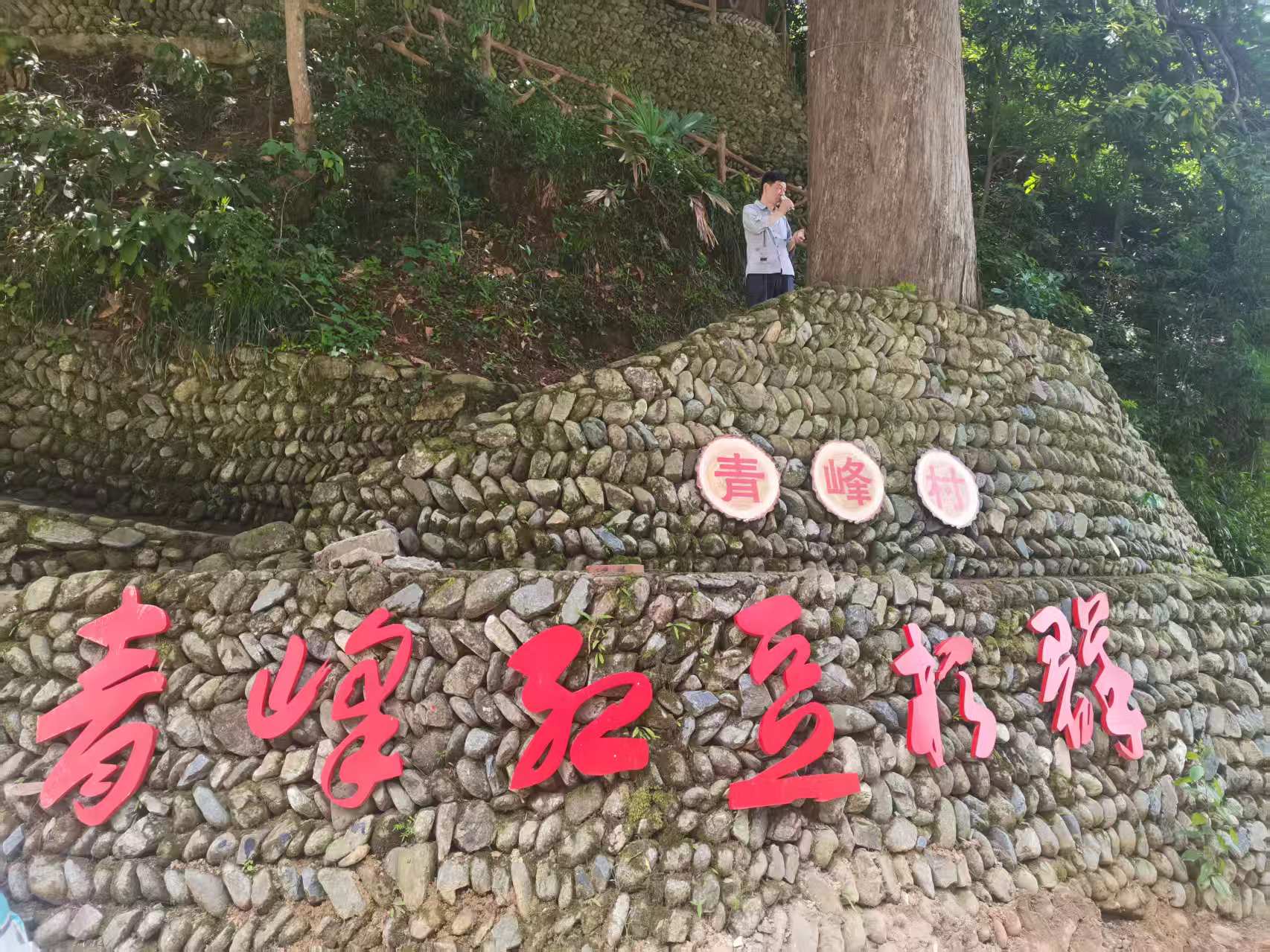 不止秘境古村!它才是北上抗日先遣队入皖首发第一站(图1) 微信图片_20260620230051_4055_1262.jpg