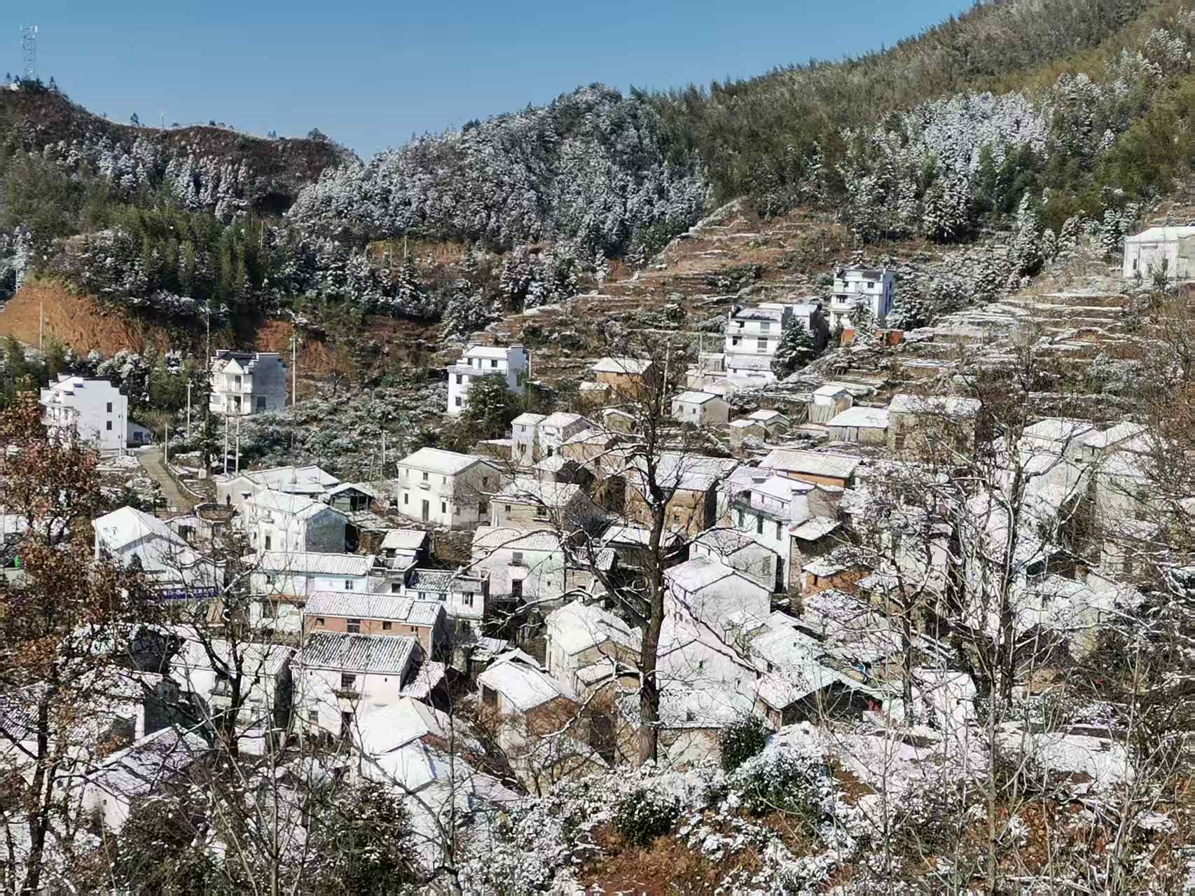 古村里庄:云踞五龙岭,烽火焕新生——五度探访华东高地传统村落,山水文脉 赓续红色根脉(图3) 6.jpg