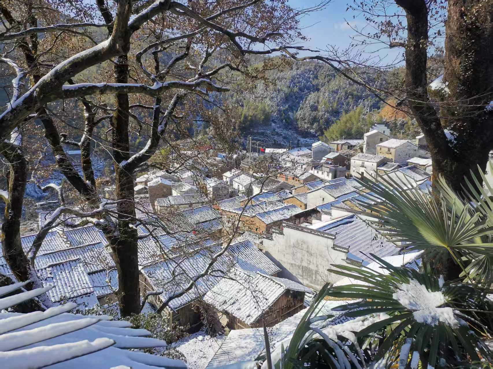 古村里庄:云踞五龙岭,烽火焕新生——五度探访华东高地传统村落,山水文脉 赓续红色根脉(图2) 09.jpg