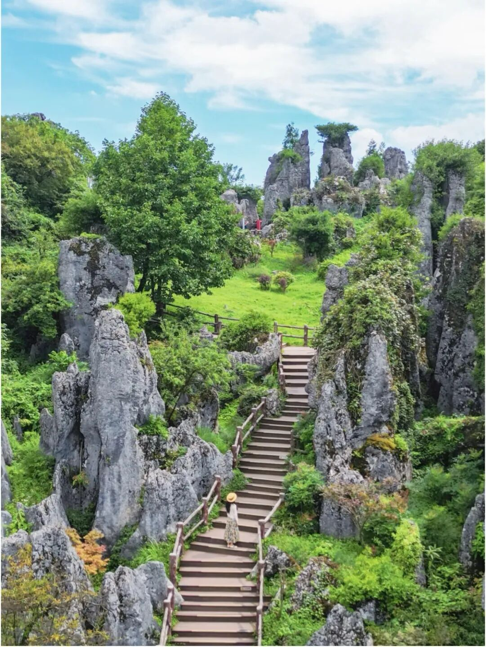 华蓥山获评“清凉四川”首批避暑(图4)