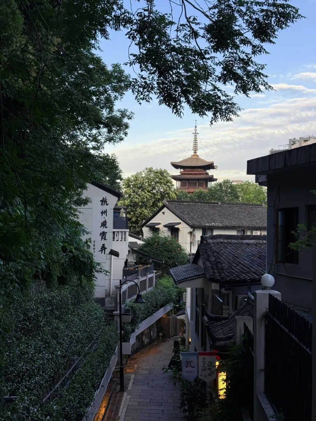 百日星“悦”游 | 跟着达人去夜游,解锁杭州夏夜的百般风情(图3) 百日星“悦”游 | 跟着达人去夜游,解锁杭州夏夜的百般风情(图3)