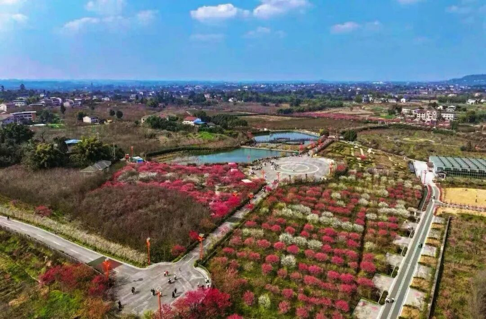 广安华蓥市中秋・国庆四条精品旅游线路(图6) 广安华蓥市中秋・国庆四条精品旅游线路(图6)
