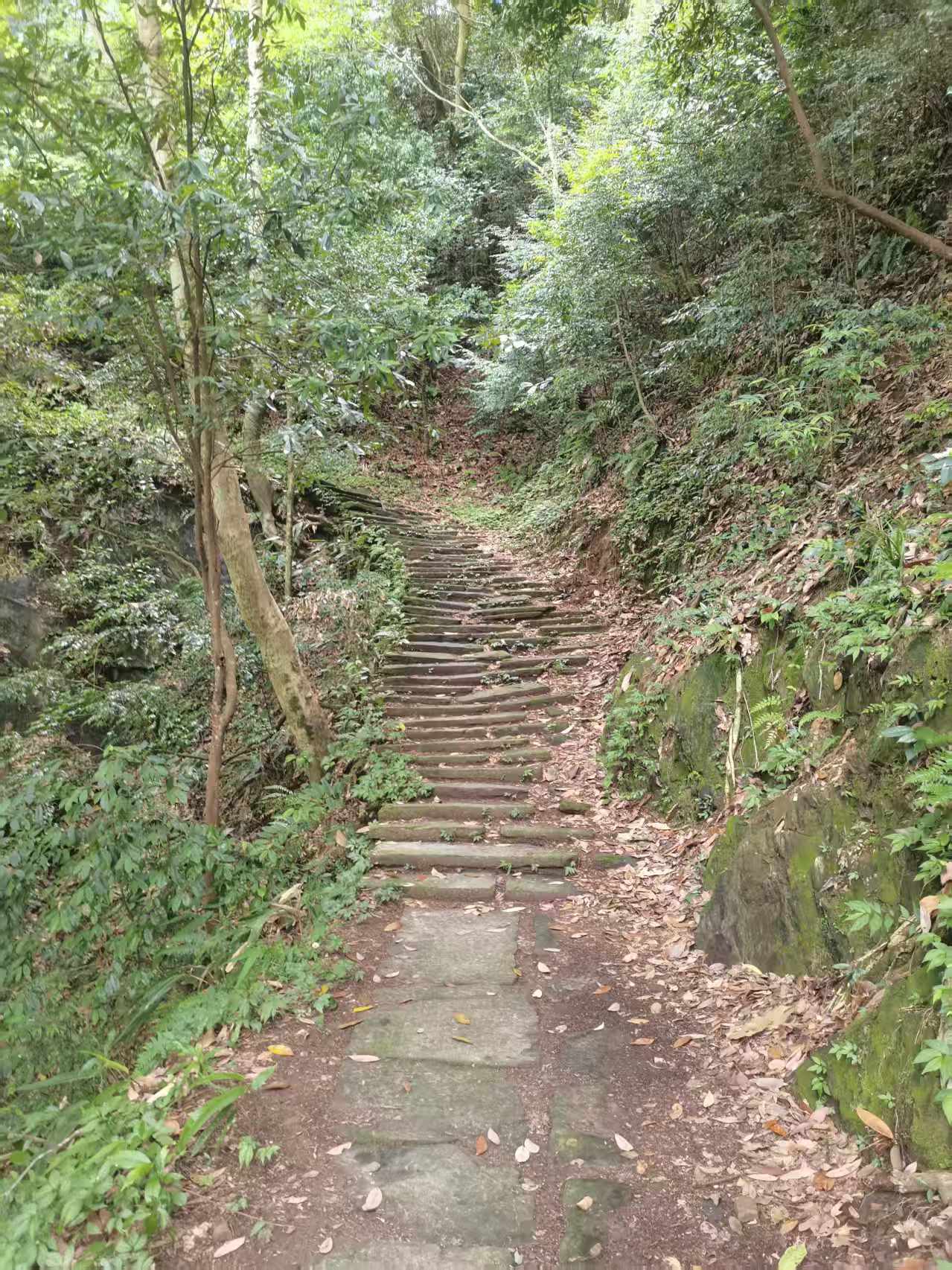 守乡愁文脉 启乡土新生——中国传统村落休宁县山斗乡汉公坑古村省亲记(图2)