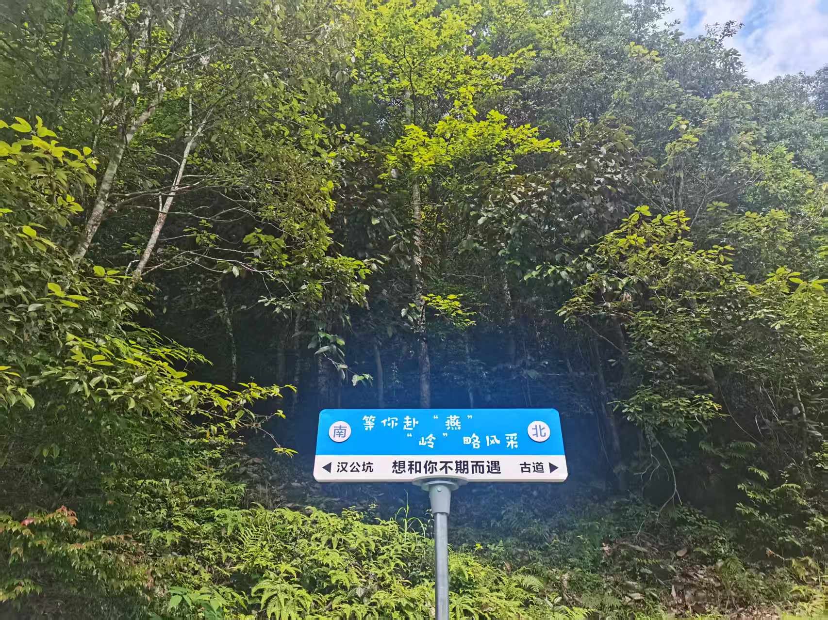 守乡愁文脉 启乡土新生——中国传统村落休宁县山斗乡汉公坑古村省亲记(图3)