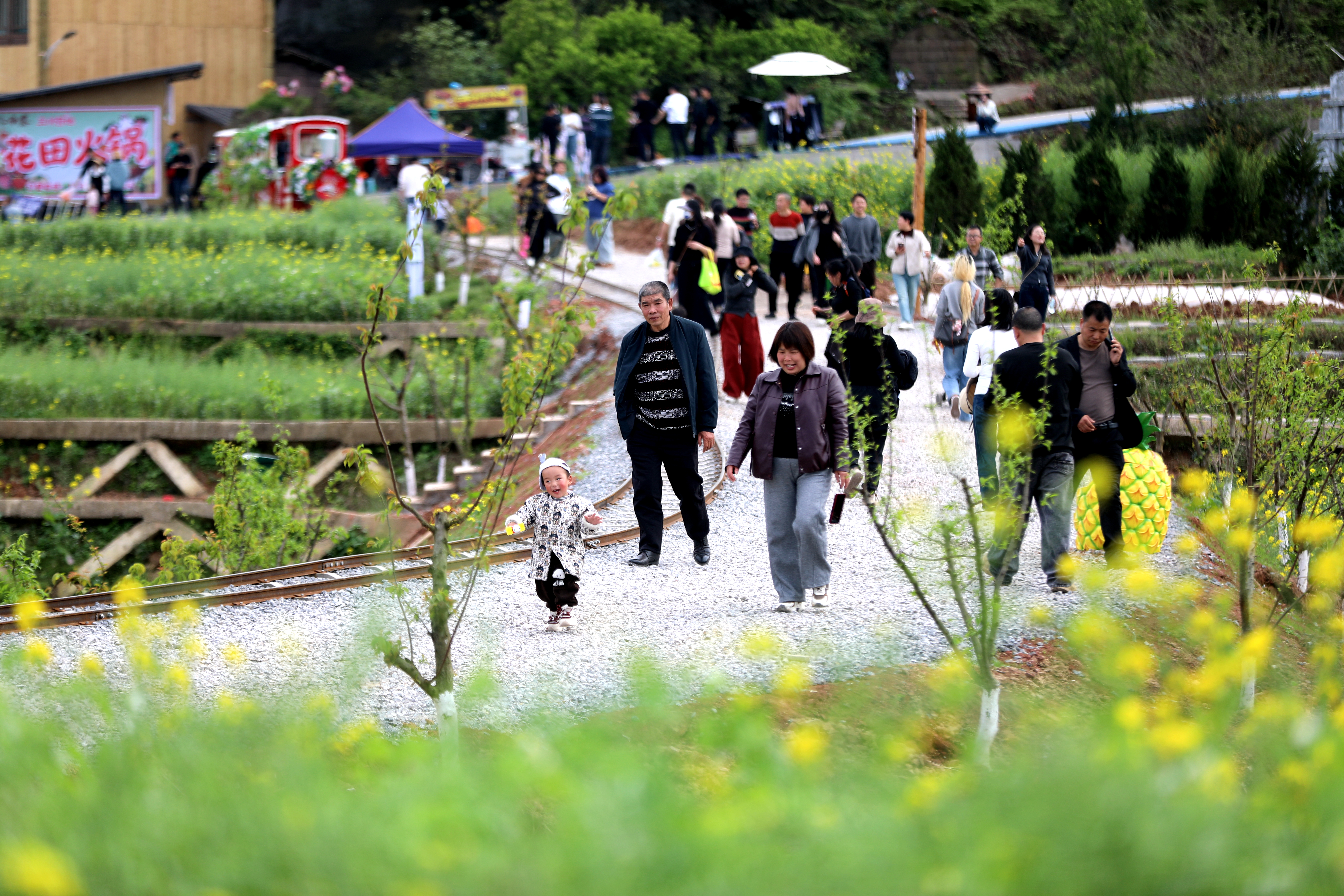 四川广安:田园古寨焕新颜 多元业态引客来(图6) 6.jpg