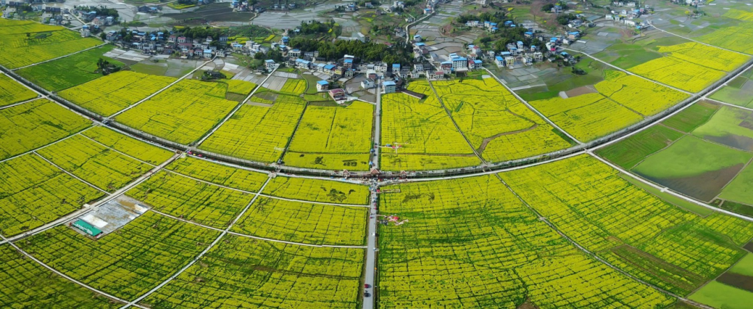 四川开江：春日踏青赏花宝藏线路来啦！