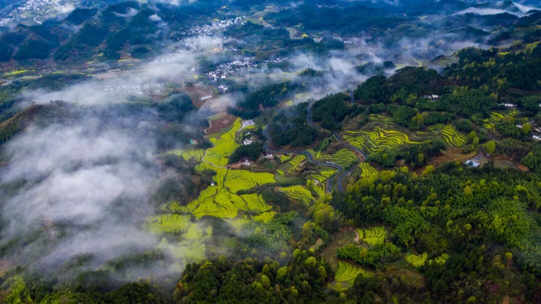 钟灵毓秀处 高山流水间——黄山市大灵山旅游度假区调研手记(图1) 钟灵毓秀处 高山流水间——黄山市大灵山旅游度假区调研手记(图1)