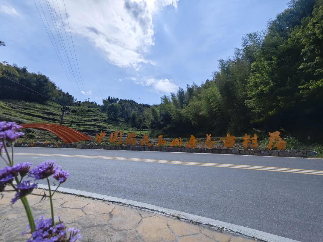 钟灵毓秀处 高山流水间——黄山市大灵山旅游度假区调研手记(图4) 钟灵毓秀处 高山流水间——黄山市大灵山旅游度假区调研手记(图4)