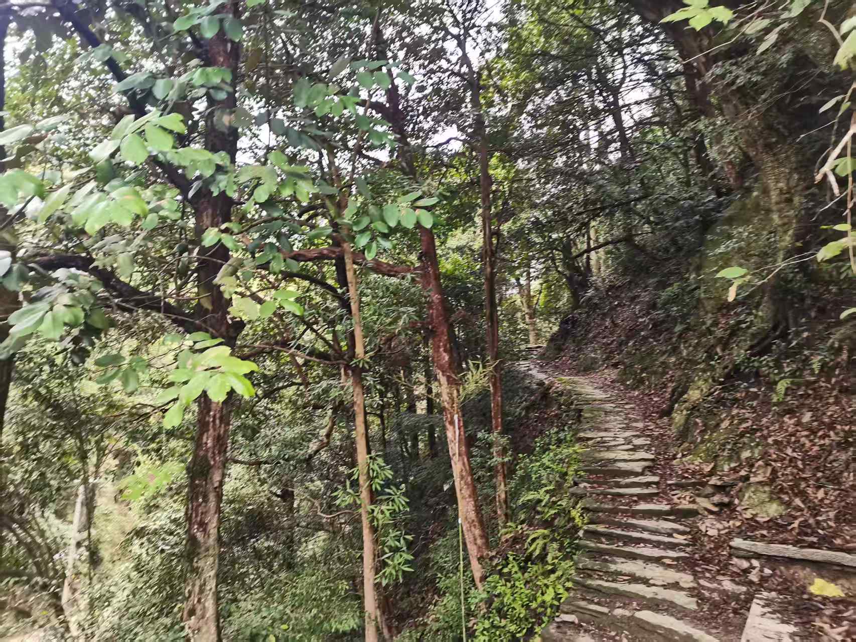 <strong>与燕岭古道对语，于风霜中成长——石阶载岁月  负重淬初心</strong>